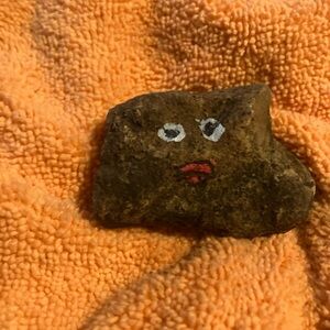 Pet rock